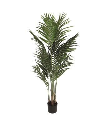 Royal Palm Tree 120cm