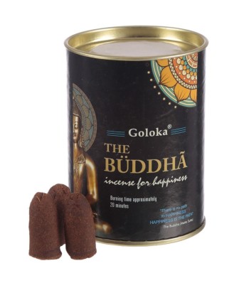 Goloka Buddha Backflow...