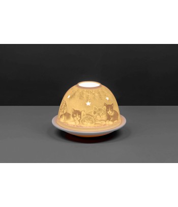Lithophane Domes -...