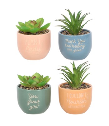 Mini Plant Pots with...