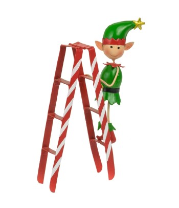 Elf Kai Climbing A Ladder