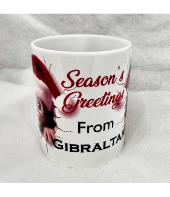 Gibraltar Christmas Monkey...