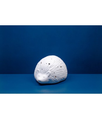 Ceramic Lamp – Hedgehog