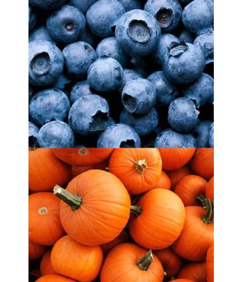 Blueberry Pumpkin - Wax...