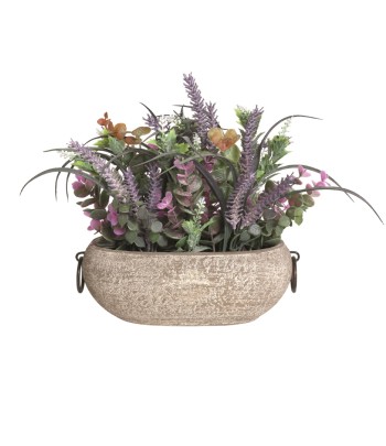 Lavender in Pot 28cm