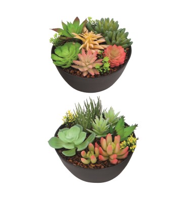 Succulent Pot 17x14cm 2...