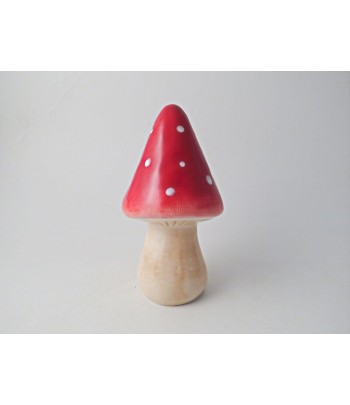 Ceramic Mushroom (9.5 x 17cm)