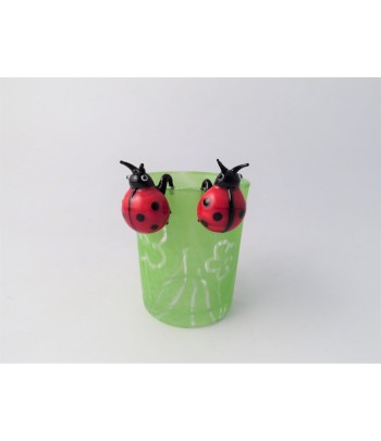 Glass Ladybird Pot Hanger...
