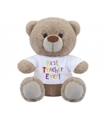 Best Teacher Teddy Bear 8"