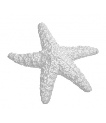 Resin Traditional Starfish...