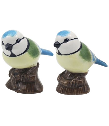 Bluetits Salt & Pepper Set