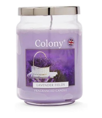 Colony Candle Lavender...