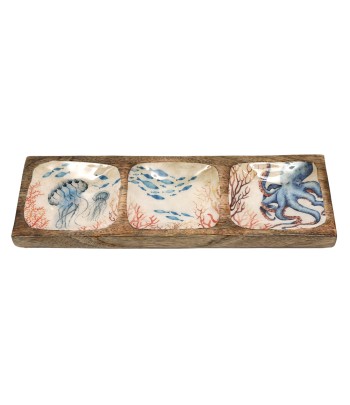 Ocean Enamelled Triple Tray