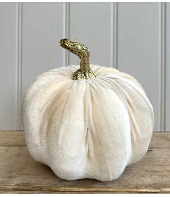 Large Fabric Pumpkin...