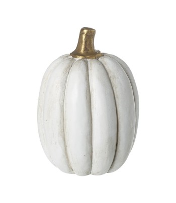 White Small Pumpkin With...