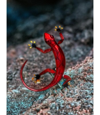 Fountasia Red Gecko Wall...