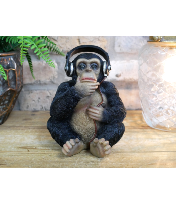 Monkey With Headphones