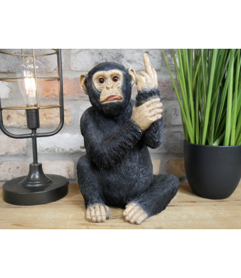 Up Yours Monkey
