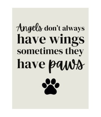 Angels Don't Always Have...