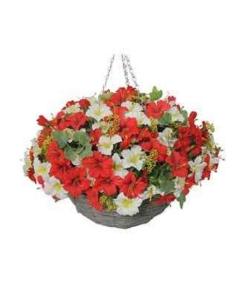 Petunia Hanging Basket...