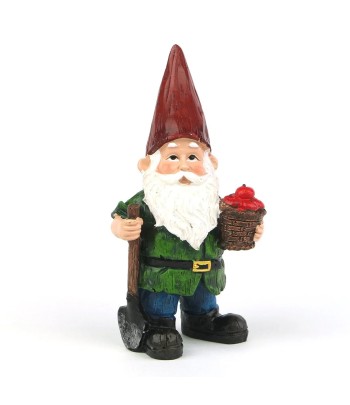 Gnome - Thomas The Gnome