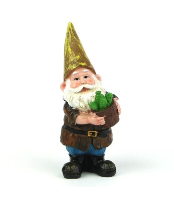 Gnome - Prickly Gnome