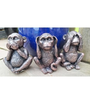 Cheeky Monkey (3 Assorted...