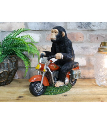 Monkey On Motorbike