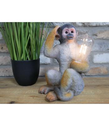 Monkey Light