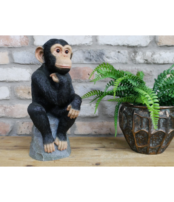 Monkey Thinking