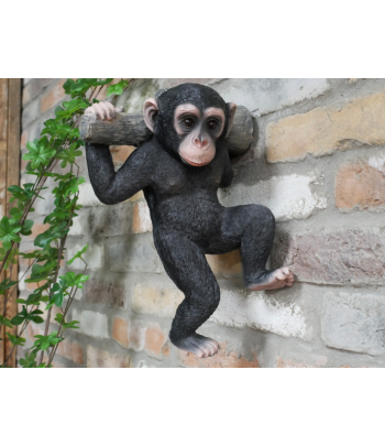 Monkey Hanging On A Branch