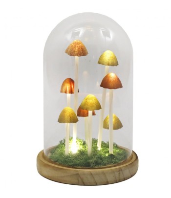 Mushroom Led Glass Globe -...
