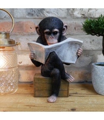 Intellectual Monkey Reading...