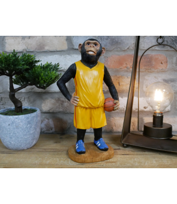Basketball Monkey