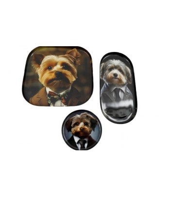 Set of 3 Cynocelpahy Fluffy...
