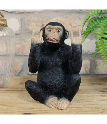 Rock N Roll Monkey