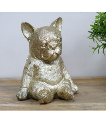 Sitting French Bulldog
