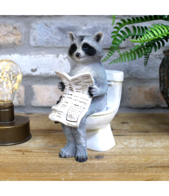 Racoon On The Loo