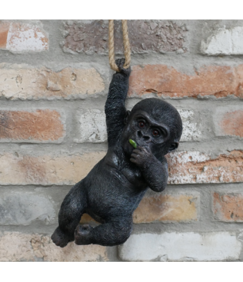 Hanging Baby Gorilla