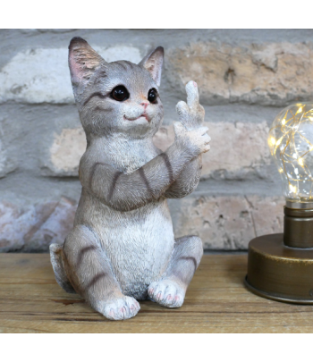 Up Yours Cat