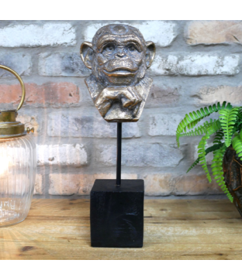 Monkey Head On Stand