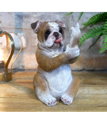 Up Yours Bulldog