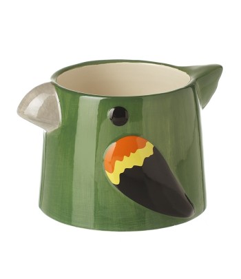 Ceramic Parrot Pot