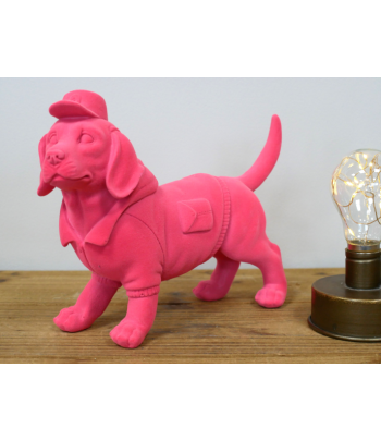 Pink Dog