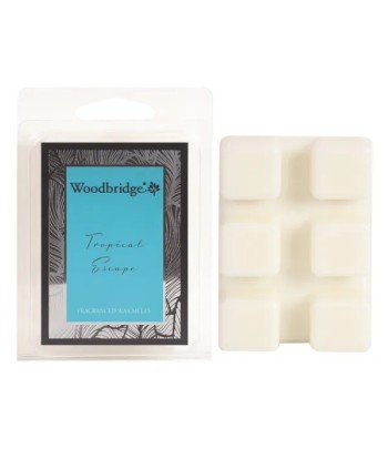 Tropical Escape - Wax Melts