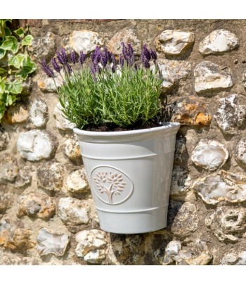 Blenheim Wall Planter - Off...