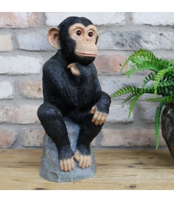 Monkey Thinking