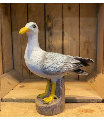 Seagull Natural