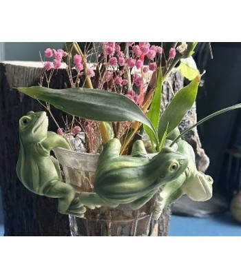 Frog Pot Hangers - (4...