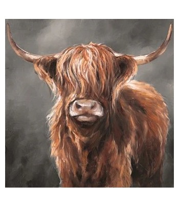 Canvas Oil Highland Cow 80x80